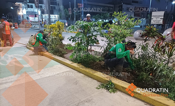 Refuerza Marciano Dzul Limpieza De Calles Y Avenidas De Tulum