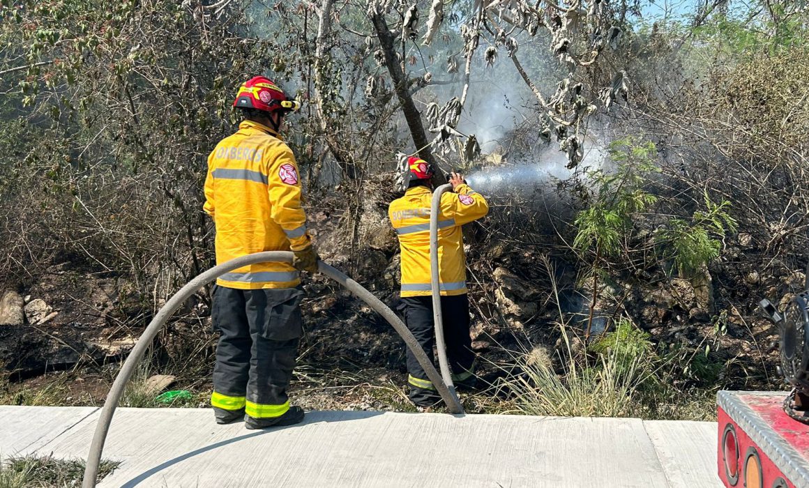 Incendio en lote baldío de Playa del Carmen es controlado por bomberos