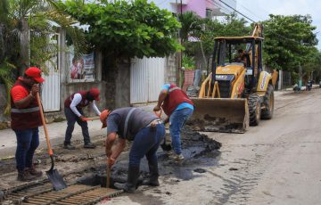 Intensifica Yensunni Limpieza En Oth N P Blanco Quadratin Quintana Roo