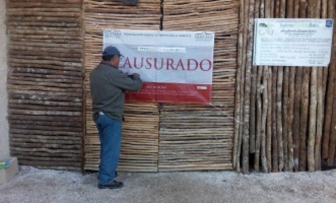 Clausura Profepa Desarrollo Inmobiliario En Tulum - Quadratin Quintana Roo