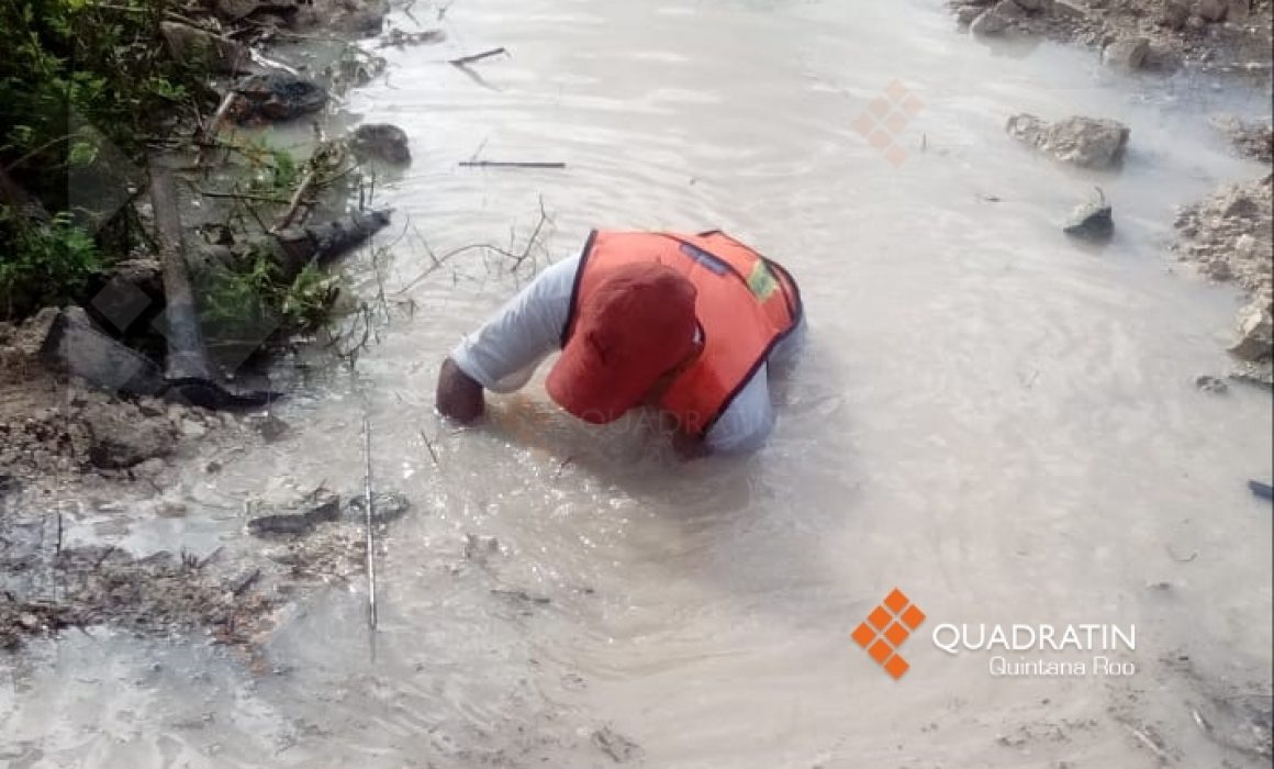 Cozumel, con agua potable pero con problema de suministro - Quadratin  Quintana Roo