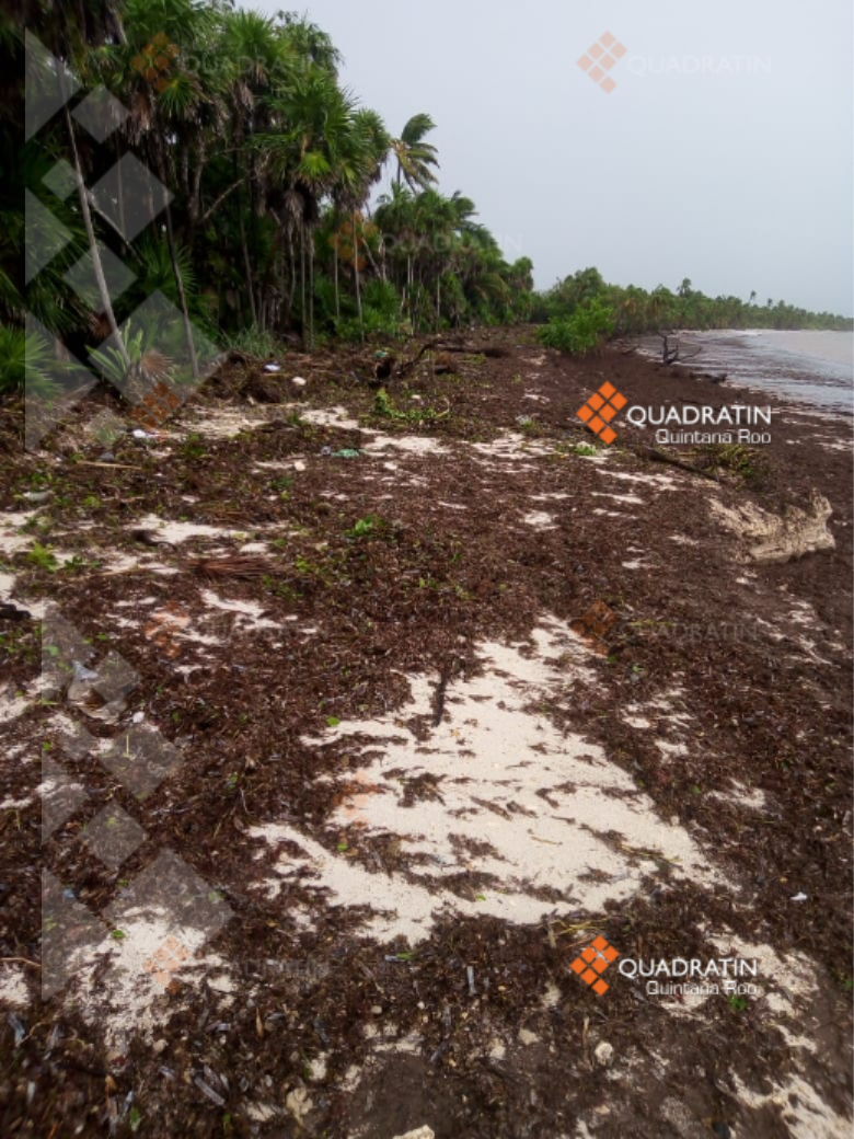 SOS para Punta Allen tras paso de Grace - Quadratin Quintana Roo - Vimarsana News