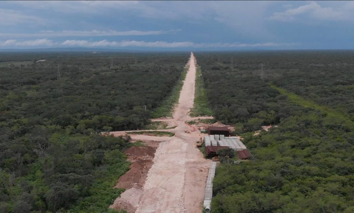 Anuncia Gobierno Federal Expropiación De 231 Terrenos En Quintana Roo Quadratin Quintana Roo 3707