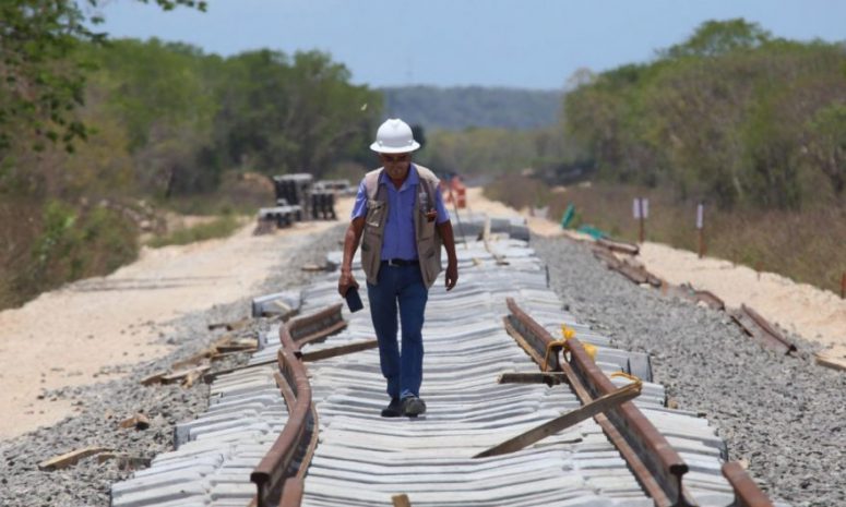 Prevén derrumbes y pérdida de 485 hectáreas de selva por Tren Maya