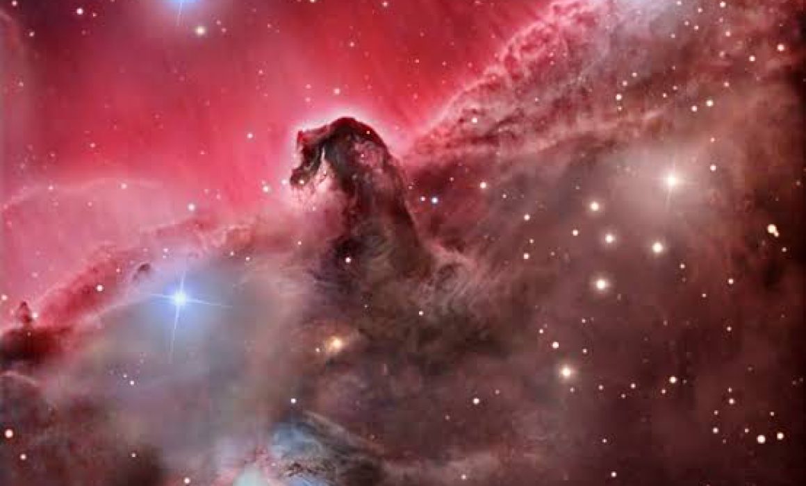 Resalta por fría y oscura, la nebulosa Cabeza de Caballo - Quadratin Quintana Roo