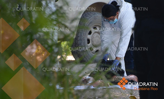 Hallan Restos Humanos Embolsados En La Región 227 Quadratin Quintana Roo 1312