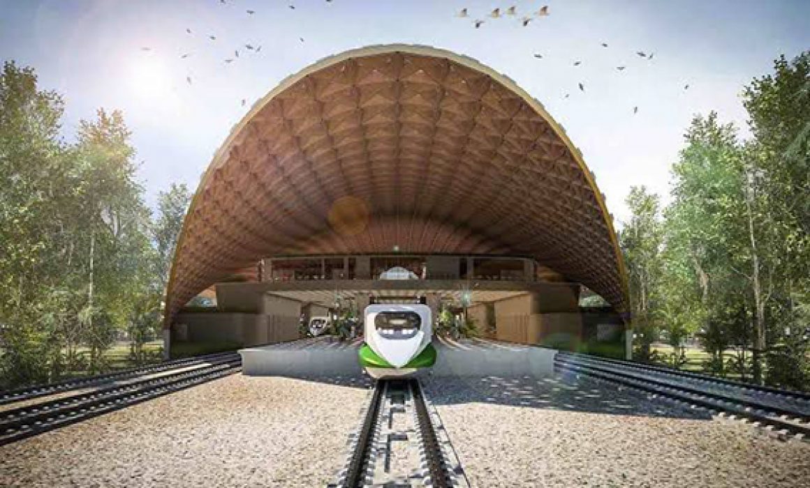 Tren Maya ¿desarrollo o ecocidio? - Quadratin Quintana Roo