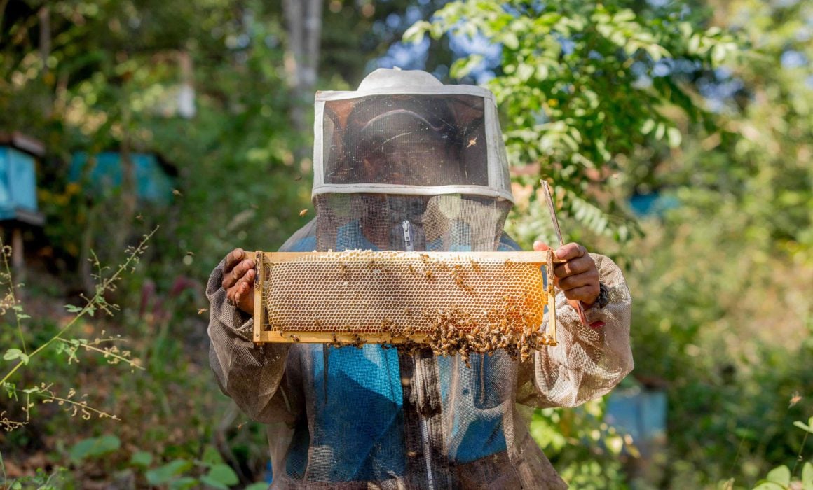 Pequeños productores se cierran a la exportación - Quadratin Quintana Roo