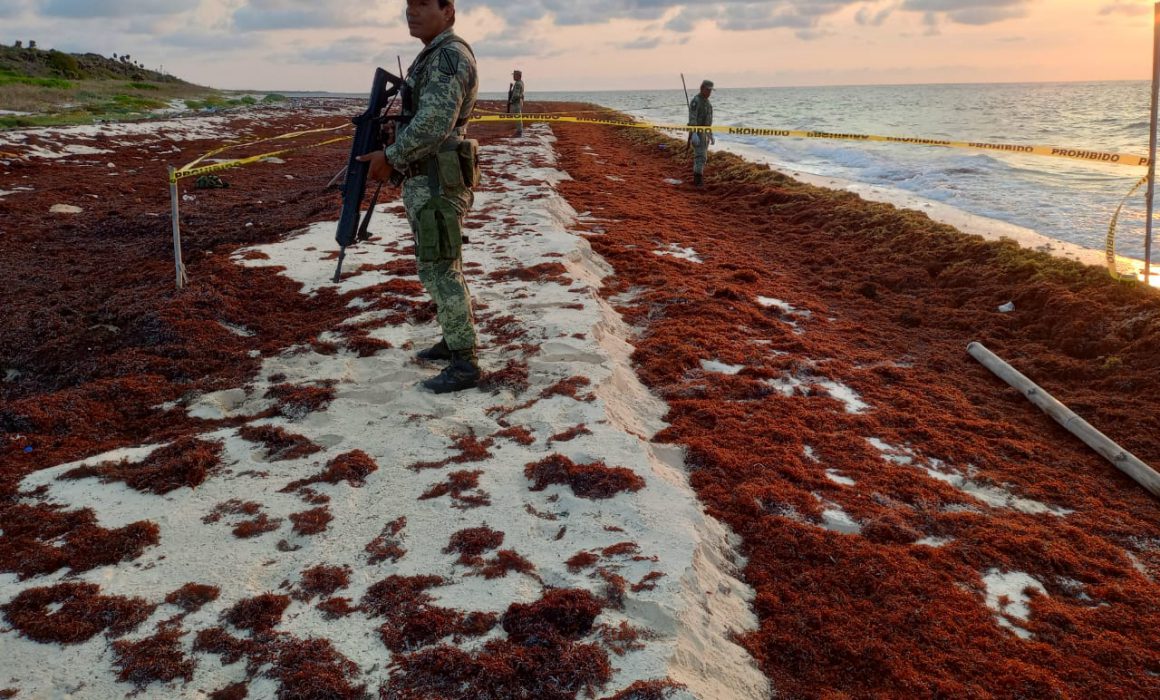 Aseguran 2 paquetes de droga en Cozumel - Quadratin Quintana Roo