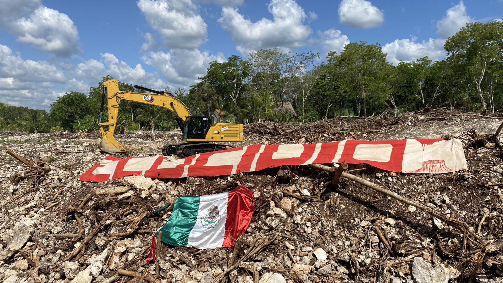 Denuncian activistas “tala masiva” por Tren Maya - Quadratin Quintana Roo