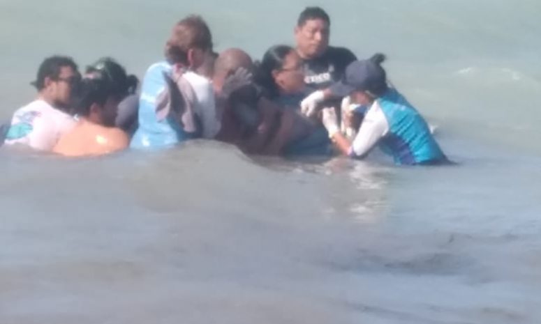 Rescatan a delfín varado en playa de Cancún