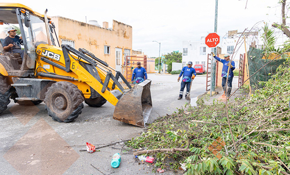 Impulsa Lili Campos la cultura del reciclaje - Quadratin Quintana Roo
