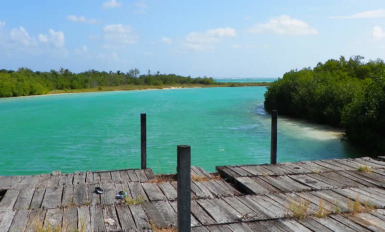 Visita Boca Paila, un oasis virgen en el corazón de la Riviera Maya ...