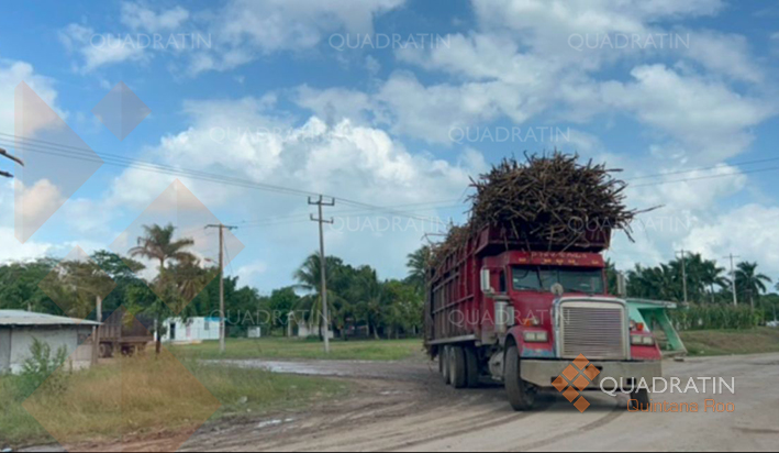 Cañeros de Quintana Roo le apuestan a la sustentabilidad - Quadratin ...
