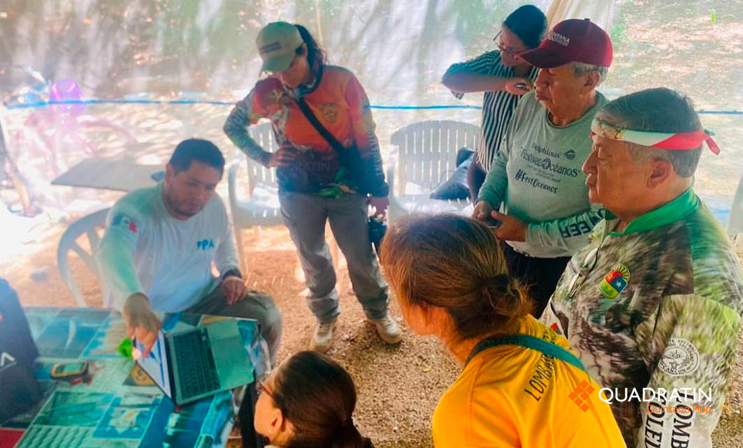 Impulsan acciones para proteger el bienestar animal en Quintana Roo ...