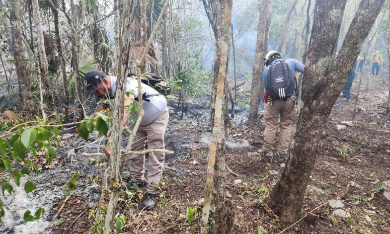 Llama Diego Castañón a cuidar la selva reportando eventuales incendios