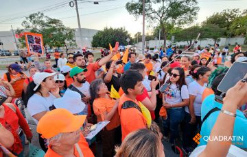 Refuerza Quintana Roo lucha contra el maltrato animal - Quadratin ...
