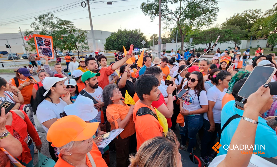 Refuerza Quintana Roo lucha contra el maltrato animal - Quadratin ...