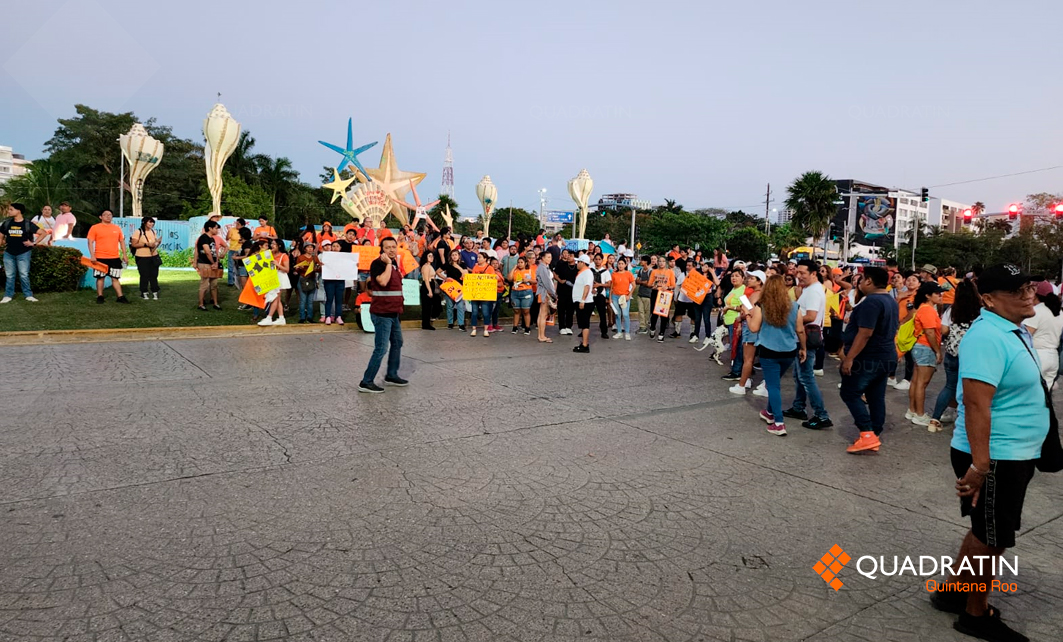 Refuerza Quintana Roo lucha contra el maltrato animal - Quadratin ...