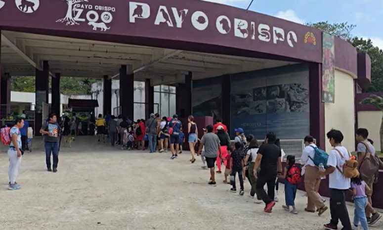 Reabre sus puertas Zoológico Payo Obispo de Chetumal