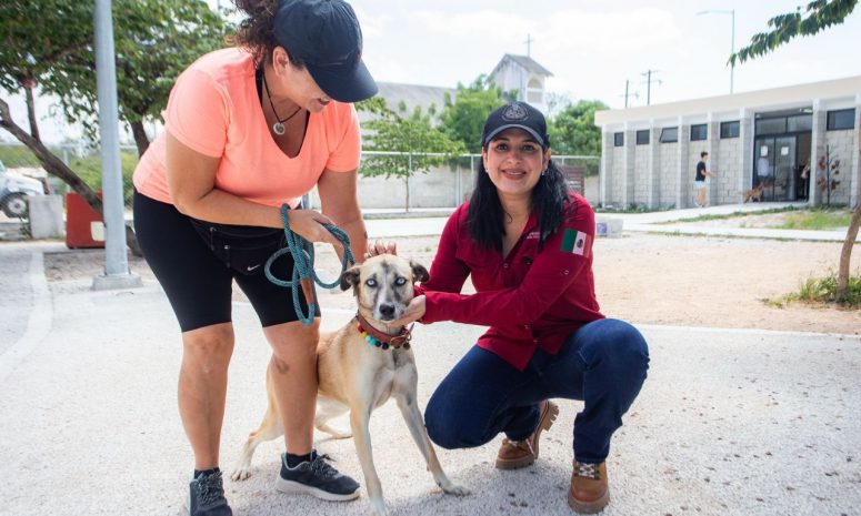 Impulsa Estefanía clínica veterinaria gratuita en Playa del Carmen