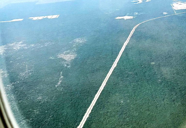 Vigilan el impacto ambiental tras ecocidio del Tren Maya - Quadratin ...