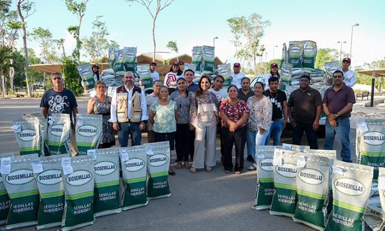 Impulsan la siembra en zona sur de Quintana Roo