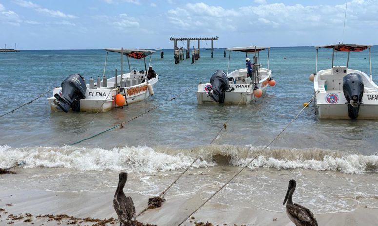 Piden instalar muelle flotante en Playa del Carmen para embarcaciones