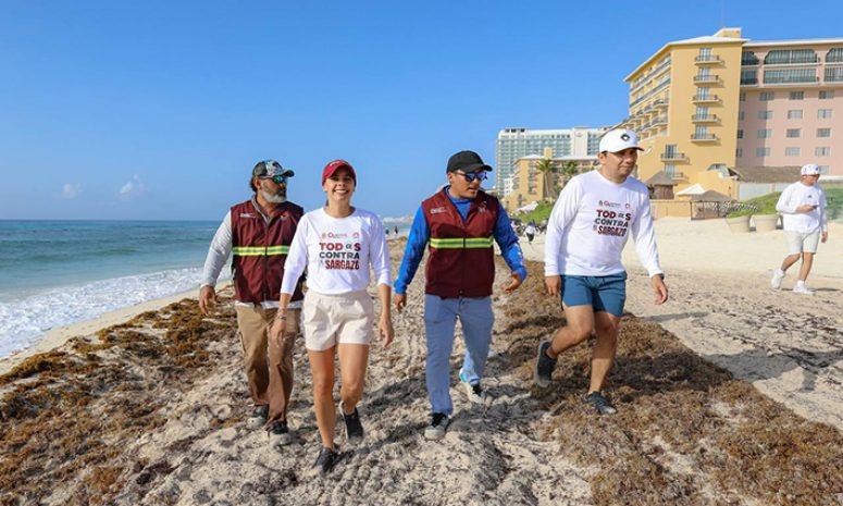 Todos contra el sargazo en Cancún