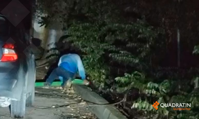 Denuncian descarga ilegal de aguas negras en área verde de Chetumal