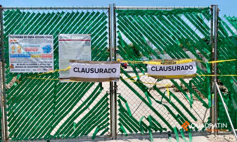 Clausuran obra en Playa del Carmen por tala ilegal de árbol