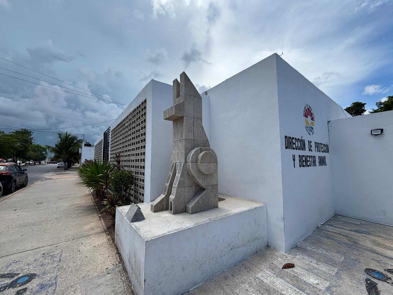 Refuerzan acciones contra el maltrato animal en Cancún - Quadratin ...