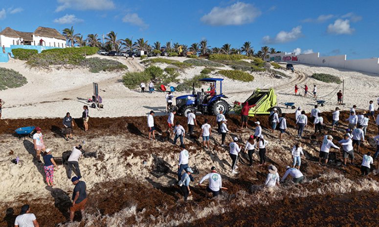 Realizan tercera edición de Todos Contra el Sargazo en Cancún