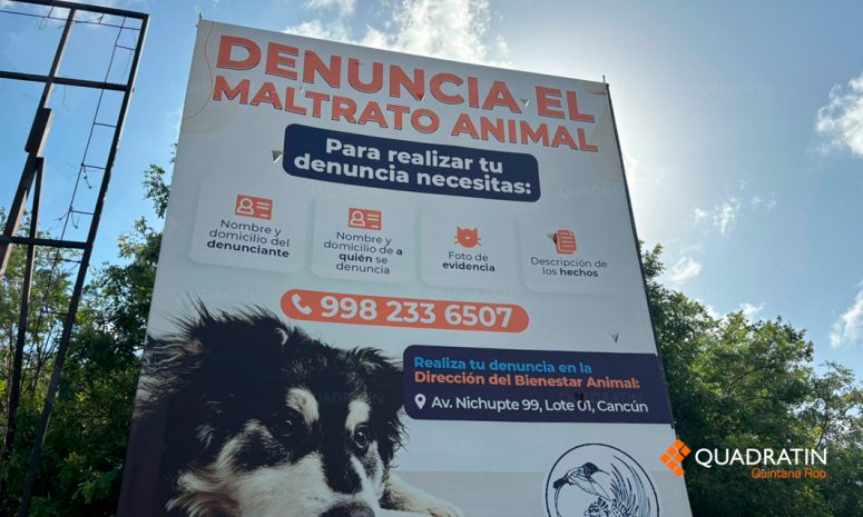 Promueven en Cancún la denuncia del maltrato animal