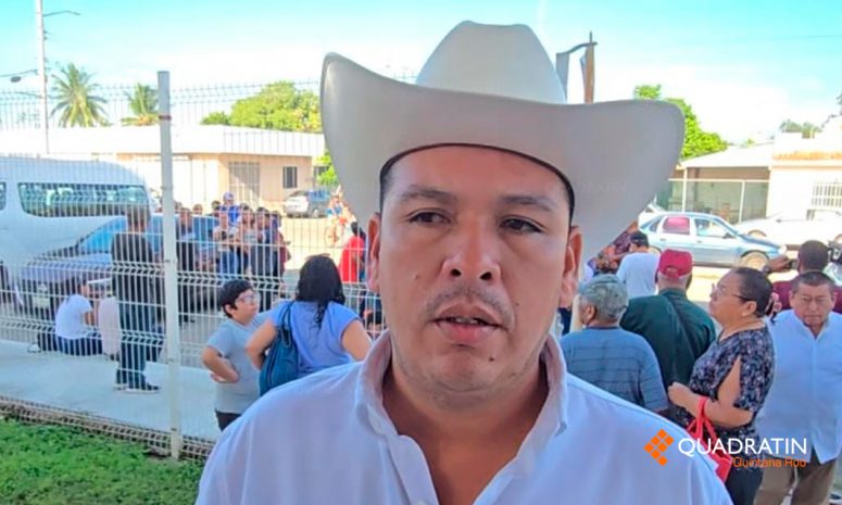 Detectan gusano barrenador en perros de Quintana Roo