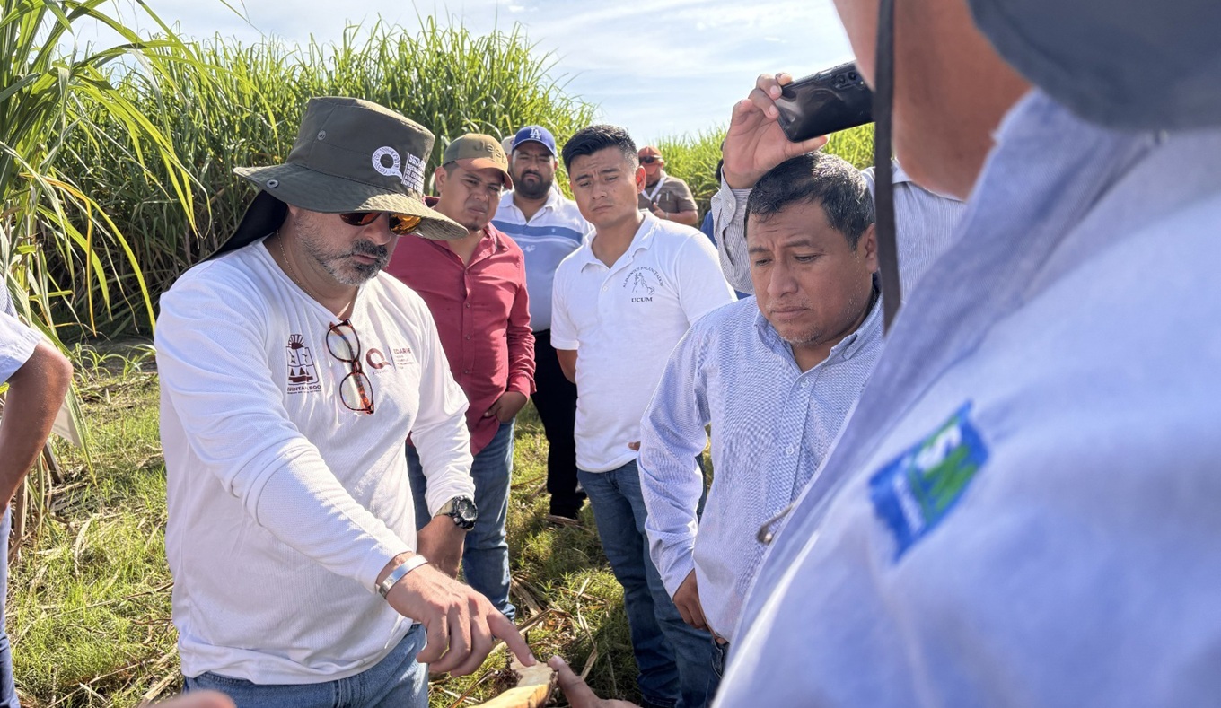 Fortalecen mediante la ciencia al sector cañero de Quintana Roo ...