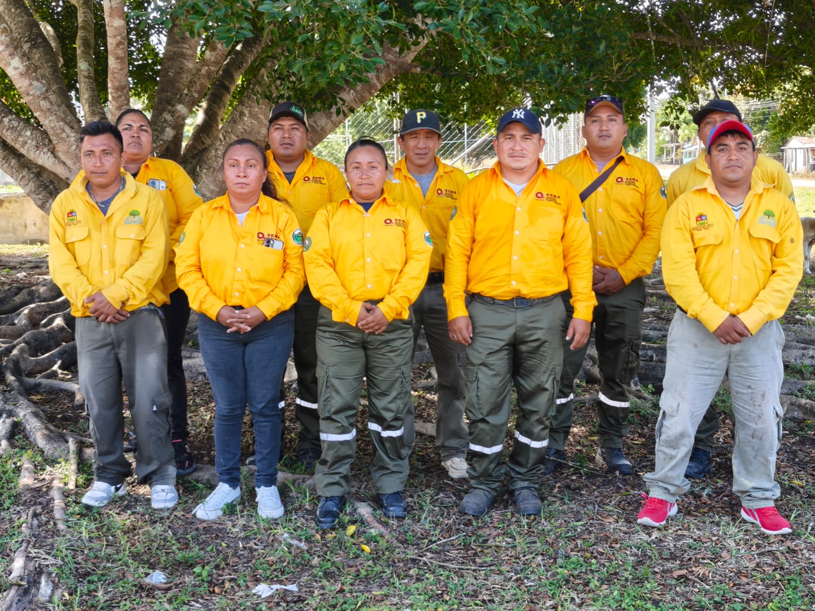 Refuerzan preparación de brigadas contra incendios forestales en ...