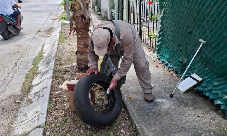 Quintana Roo acumula 282 casos de dengue; ocho son graves