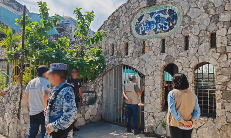 Profepa va tras los felinos: revisa 2 inmuebles en Cancún
