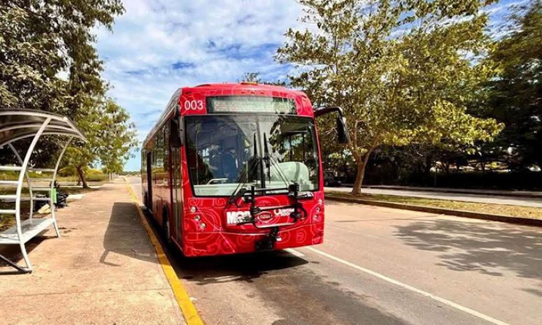 ¡Estudiantes, alisten la mochila! Nueva ruta de MOBI arranca en Chetumal