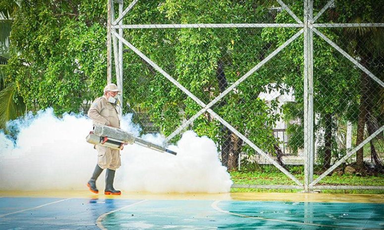 Quintana Roo despliega operativos contra el dengue en 11 municipios